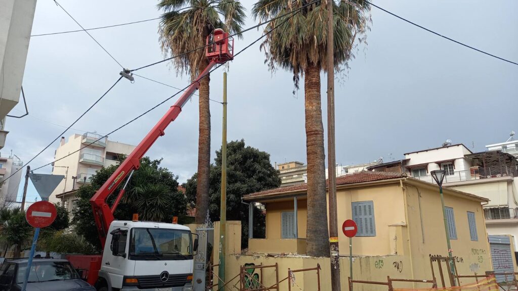 ΚΟΠΗ ΔΕΝΤΡΩΝ